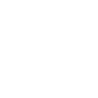 ws-ico